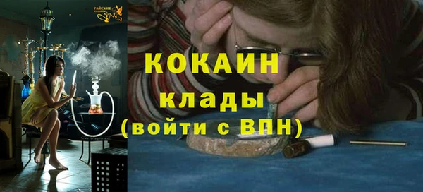 прущие грибы Волосово