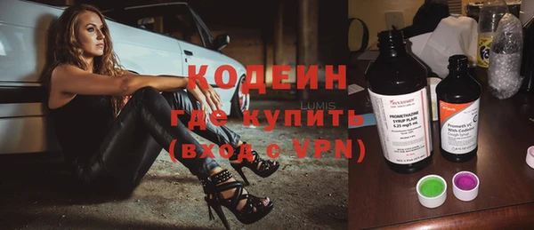 гашик Вяземский