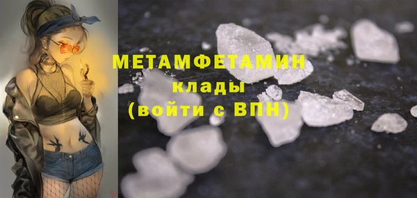 прущие грибы Волосово