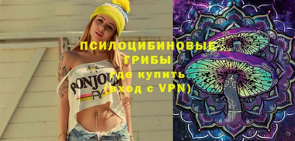 прущие грибы Волосово