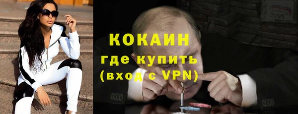 прущие грибы Волосово