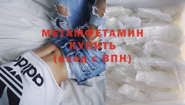 прущие грибы Волосово