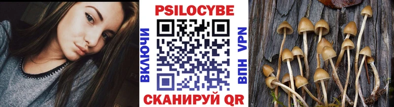 купить наркоту  Каргополь  OMG онион  Галлюциногенные грибы мухоморы 